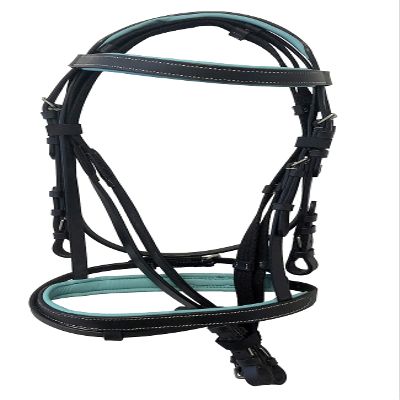 Equitem Leather English Teal Padded Bridle with Reins (Black with Teal, X Full)