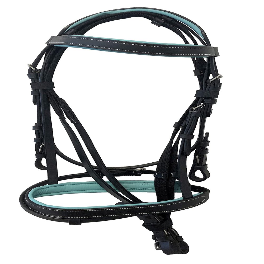 Equitem Leather English Teal Padded Bridle with Reins (Black with Teal, X Full)