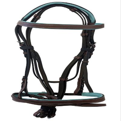 Equitem Leather English Teal Padded Bridle with Reins (Brown with Teal, X Full)