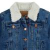 Denim Trucker Jacket view 3