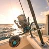 SALTIST MQ Spinning Series - Saltwater Reel view 3
