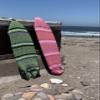 Baja Wey Mexican Blanket Surfboard Bag (Pinks, 5'8inch Fish)(101) view 3