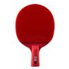 LINGOSHUN Table Tennis Bat Carbon,Performance-Level Ping Pong Paddle Set Ideal for Intermediate/Professional Players / 5 Stars/Short Handle view 1