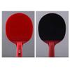 LINGOSHUN Table Tennis Bat Carbon,Performance-Level Ping Pong Paddle Set Ideal for Intermediate/Professional Players / 5 Stars/Short Handle view 2
