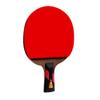 LINGOSHUN Ping Pong Racket Set High-Performance,Professional Table Tennis Paddle, ITTF Approved Rubber for Tournament Play,5-ply Wood / 7 Stars/Short Handle view 1