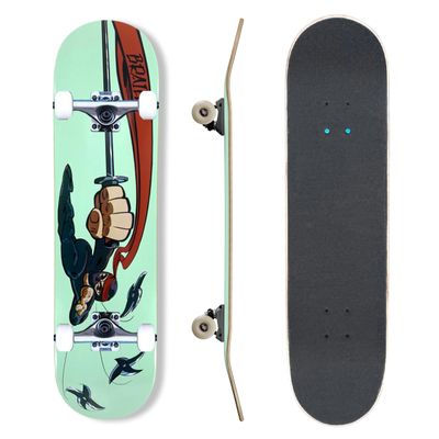 Complete Pro Skateboard by Braille for Girls, Boys, Kids Youth, Adult, Teens, Beginners - Fully Assembled with Poster & Stickers (8.25, Ninja Star)