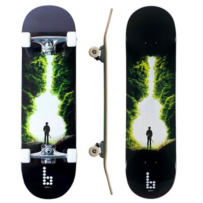 Complete Pro Skateboard by Braille for Girls, Boys, Kids Youth, Adult, Teens, Beginners - Fully Assembled with Poster & Stickers (8.5, Dreamer: Guitar)