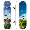 Complete Pro Skateboard by Braille for Girls, Boys, Kids Youth, Adult, Teens, Beginners - Fully Assembled with Poster & Stickers (8.5, Dreamer: Stories) view 1