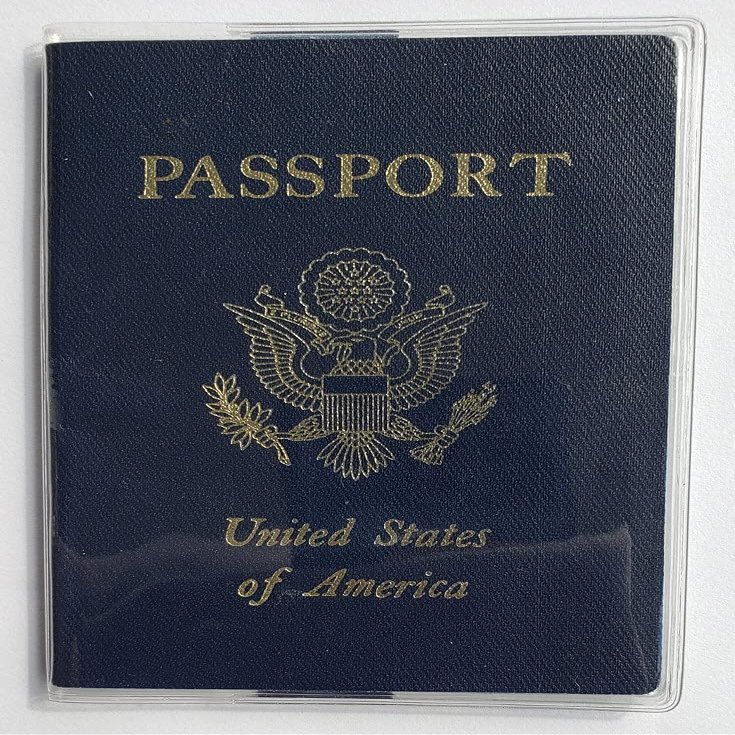 5 pack Passport Cover with Pocket for Vaccination Cards, Privacy Strip to Protect your Identity Name Birthdate Medical Info, Clear Durable safe vinyl sleeve, Made in USA