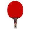LINGOSHUN Table Tennis Bat Allround Comfortable Handle Professional Amateur Intermediate and Advanced Training Ping Pong Racket Paddle / 7 Stars/Long Handle view 1