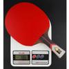 LINGOSHUN Table Tennis Bat Allround Comfortable Handle Professional Amateur Intermediate and Advanced Training Ping Pong Racket Paddle / 7 Stars/Long Handle view 3