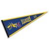 Drexel University Dragons Pennant Flag view 1