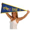Drexel University Dragons Pennant Flag view 4
