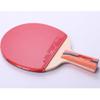 LINGOSHUN Table Tennis Set,Portable Ping Pong Paddle with 1 Carrying Bag for Beginners Adults Children Indoor Outdoor / 1 Pack/Short Handle view 2