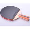 LINGOSHUN Table Tennis Set,Portable Ping Pong Paddle with 1 Carrying Bag for Beginners Adults Children Indoor Outdoor / 1 Pack/Short Handle view 3