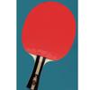 LINGOSHUN Ping Pong Racket Set,Flared Handle,Portable Table Tennis Bats for Amateurs,Beginners,ITTF Approved / 1 Pack/Long Handle view 3