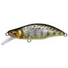 Megabus GH64 Humpback (FS) Pike Trout view 1