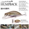 Megabus GH64 Humpback (FS) Pike Trout view 2