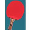 LINGOSHUN Beginner Attack Type Table Tennis Bats Set,Double-Sided Reverse Adhesive,Ping Pong Racket for School and Sports Club / 2 Player Set/A view 2