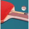 LINGOSHUN Beginner Attack Type Table Tennis Bats Set,Double-Sided Reverse Adhesive,Ping Pong Racket for School and Sports Club / 2 Player Set/A view 3