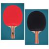 LINGOSHUN Beginner Attack Type Table Tennis Bats Set,Double-Sided Reverse Adhesive,Ping Pong Racket for School and Sports Club / 2 Player Set/A view 4