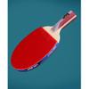 LINGOSHUN Table Tennis Set,Professional Ping Pong Racket with Case,Offensive,ITTF Approved Rubber for Tournament Play,5-Ply Wood / 1 Pack/Short Handle view 4
