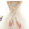 Women Bridal Long Lace Gloves, Elbow Fingerless Dress Gloves Wedding Party Prom Costume view 2