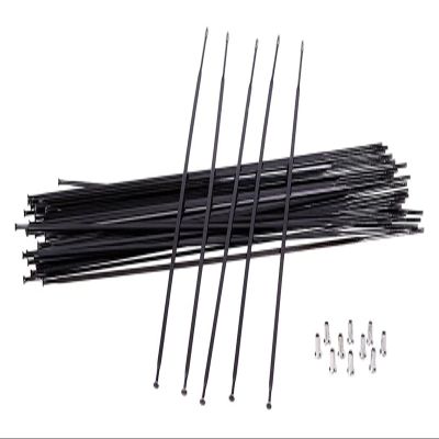 chensong Spokes Nipples Spokes Fit Fit Fit Fit for Bikes 12pcs Aero Mountain Bike Road Straight Pull Spokes Bike Spokes Cycling Spokes(298mm)