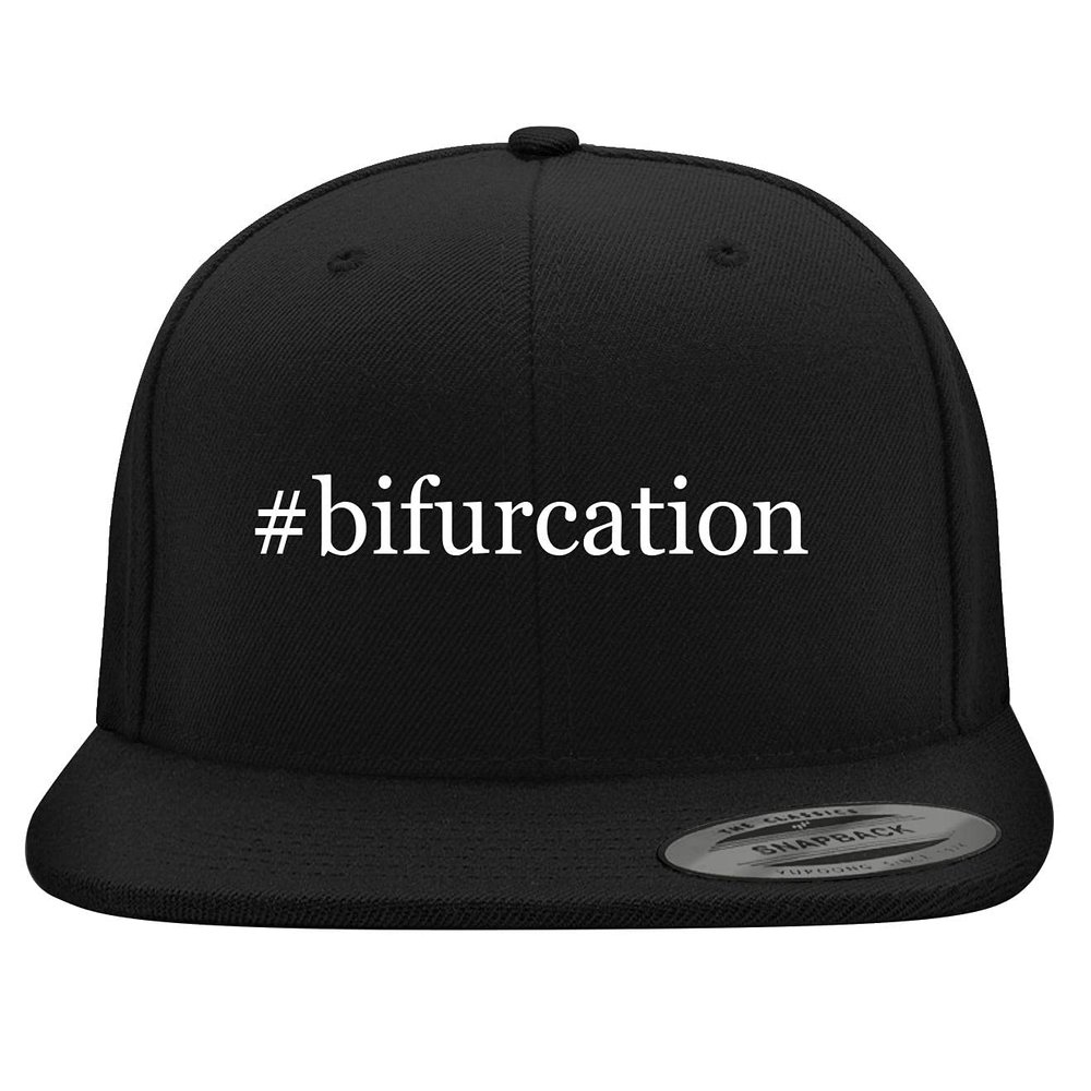 #Bifurcation - Embroidered Structured Flat Bill Hat | Trendy Baseball Cap for Men and Women | Modern Cap in Snapback Closure | Black | One Size