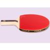 LINGOSHUN Table Tennis Set,5-Ply Wood,Beginners 5 Stars Ping Pong Racket,ITTF Approved for Adults and Kids Indoor/Outdoor Activity / 2 Player Set/Short Handle view 2