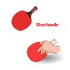 LINGOSHUN Portable Table Tennis Set Ping-Pong Game,Comfortable Handle,Ping Pong Racket for Trainers,Amateurs,Beginners / 2 Player Set/B view 4