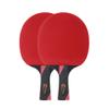LINGOSHUN Table Tennis Bat 6 Star,Carbon Fibre Ping Pong Paddle Set for Increased Control,Spin,2 Player Recreational Set/Double/A view 1