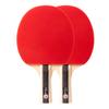 LINGOSHUN Table Tennis Set,5-Ply Wood,Beginners 5 Stars Ping Pong Racket,ITTF Approved for Adults and Kids Indoor/Outdoor Activity / 2 Player Set/Long Handle view 1