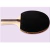 LINGOSHUN Table Tennis Set,5-Ply Wood,Beginners 5 Stars Ping Pong Racket,ITTF Approved for Adults and Kids Indoor/Outdoor Activity / 2 Player Set/Long Handle view 2