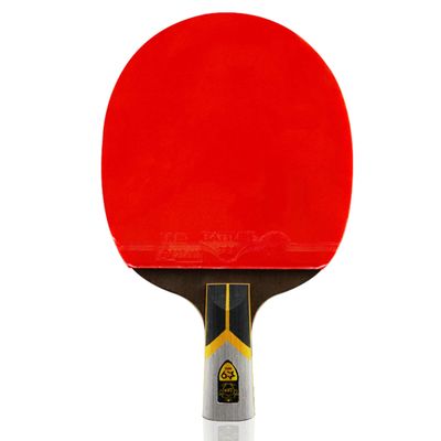 LINGOSHUN Table Tennis Rackets Set with Carbon Fibre Technolog,Premium Ping Pong Bats for Increased Control,Spin,9 Star/Single/Short Handle