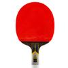 LINGOSHUN Table Tennis Rackets Set with Carbon Fibre Technolog,Premium Ping Pong Bats for Increased Control,Spin,9 Star/Single/Short Handle view 1