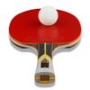 LINGOSHUN Table Tennis Rackets Set with Carbon Fibre Technolog,Premium Ping Pong Bats for Increased Control,Spin,9 Star/Single/Short Handle view 2