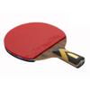 LINGOSHUN Ping Pong Paddle Set Sport,Carbon Fibre Technology Table Tennis Bats for Intermediate/Beginner Players,2 Player Recreational Set / 6 Stars/Short Handle view 2