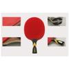 LINGOSHUN Ping Pong Paddle Set Sport,Carbon Fibre Technology Table Tennis Bats for Intermediate/Beginner Players,2 Player Recreational Set / 6 Stars/Short Handle view 3