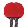 LINGOSHUN Table Tennis Bat 6 Star,Carbon Fibre Ping Pong Paddle Set for Increased Control,Spin,2 Player Recreational Set/Double/B view 1