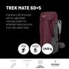Salewa Women's Modern, Tawny Port, Holds up to 65 liters view 2