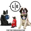 Littlearth NFL Las Vegas Raiders Premium Pet Jersey, Team Color, X-Large view 4