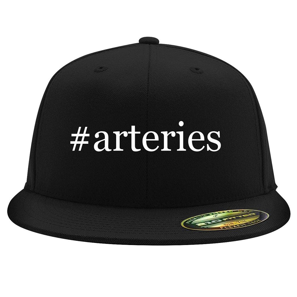 #Arteries - Embroidered Adjustable Fit Structured Flat Bill Fitted Hat | Trendy Baseball Cap for Men and Women | Modern Cap in Snapback Closure | Black | Large/X-Large
