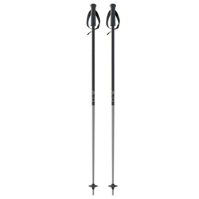 Fischer Gt 18 Poles 110 cm