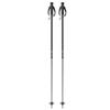 Fischer Gt 18 Poles 110 cm view 1
