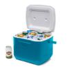 Coleman Chiller 16qt Insulated Portable Cooler with Ice Retention & Large Carry Handle, Made in USA, Great for Camping, Tailgating, Parties, Sports, Concerts, Lunches & More view 2