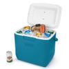 Coleman Chiller 30qt Insulated Portable Cooler with Ice Retention & Large Carry Handle, Made in USA, Great for Camping, Tailgating, Parties, Sports, Concerts & More view 2