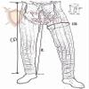 THE MEDIEVALS Cotton Febric cushon Legging with Free Size Best/Waist Length 40" (Camel, 40 Inch) view 4