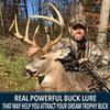 RAW Frozen Scents Rut Season Pro Package Deer Attractant Scent Scrape Lure, Peak Estrus, Buck Scent, Deer Hunting (Medium Rut Pack) view 3