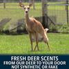 RAW Frozen Scents Rut Season Pro Package Deer Attractant Scent Scrape Lure, Peak Estrus, Buck Scent, Deer Hunting (Medium Rut Pack) view 4